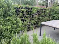 Muurtuin met tuinarchitect