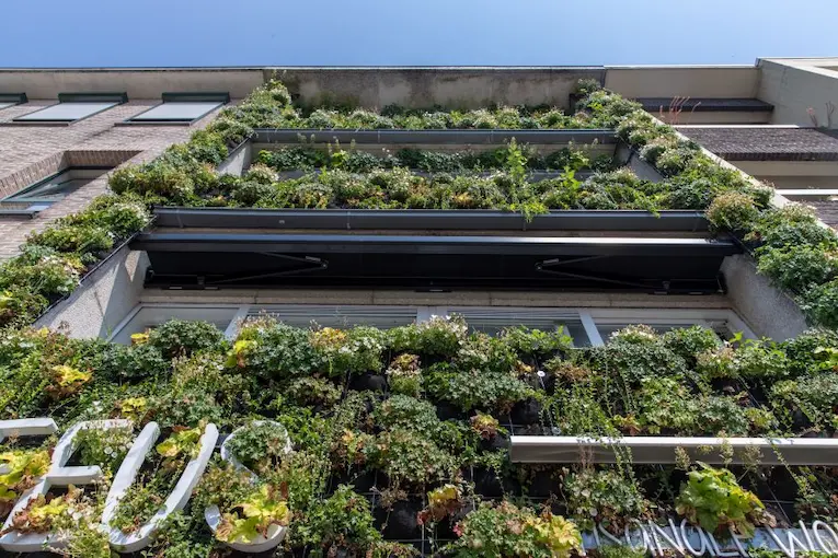 Groene muur winkel