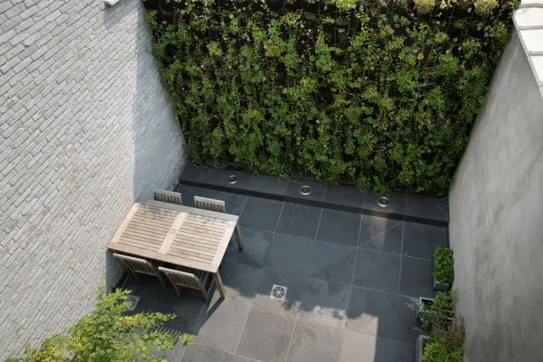 Groene muur in een kleine koer