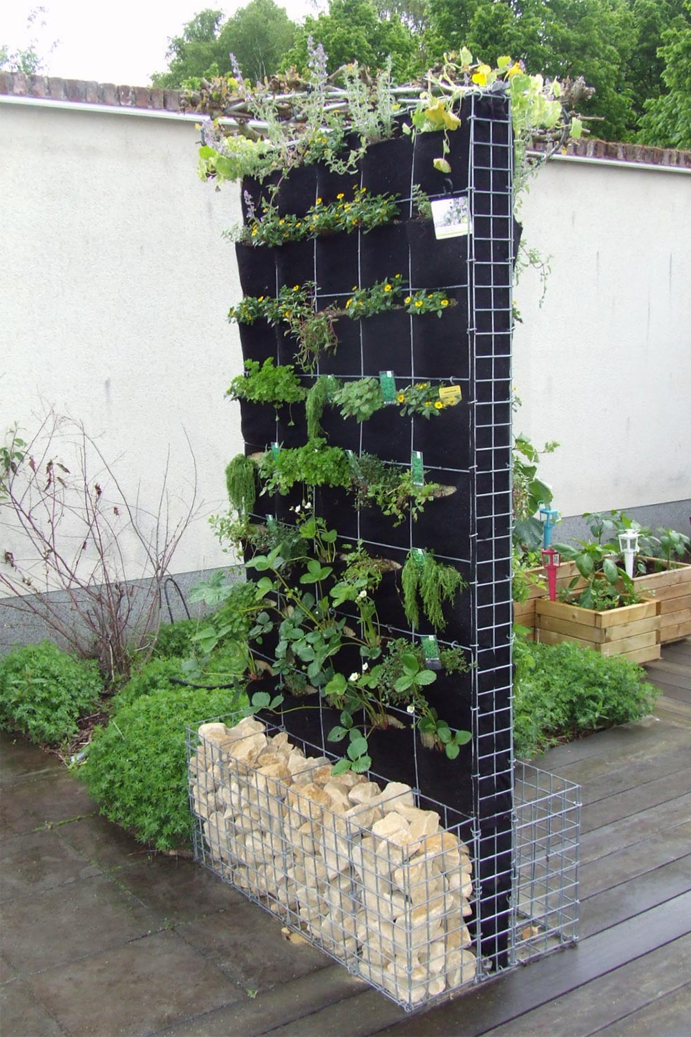 vrijstaande groene muur